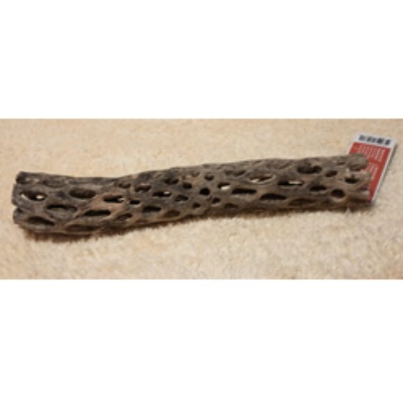 Galapagos Cholla Wood Branch Terrarium Natural Accessory, Regular 12 inches long - Picture 7 of 9